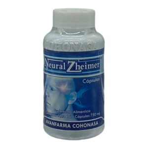 NEURAL ZHEIMER